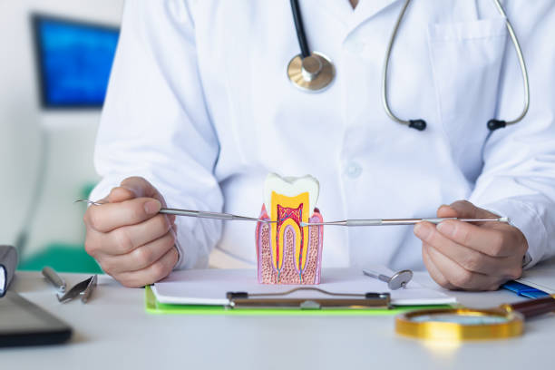 Best Chipped Tooth Repair Near Me  in King Cove, AK